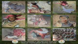 بالصور .. عملية نوعية لاتحاد قبائل سيناء تطيح بقيادات تكفيرية ارهابية خطيرة