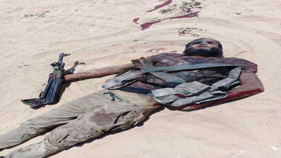 بالصور جثت التكفيريين بعد احباط هجوم ارهابي تكفيري على أحد تمركزات اتحاد قبائل سيناء في الشيخ زويد