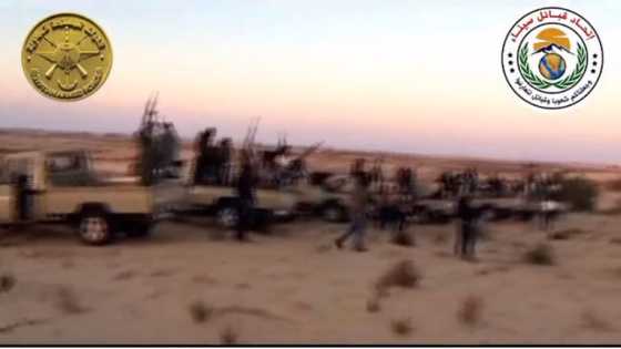 برمو : قبائل سيناء ورجالها تسطر أعظم الإنجازات في مواجهة الإرهاب والتطرف