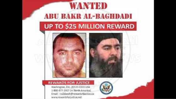 عربي “داعشي” سلّم البغدادي للقتل لقاء 25 مليون دولار